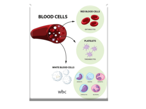 belood cells-bas- سلامت کارت